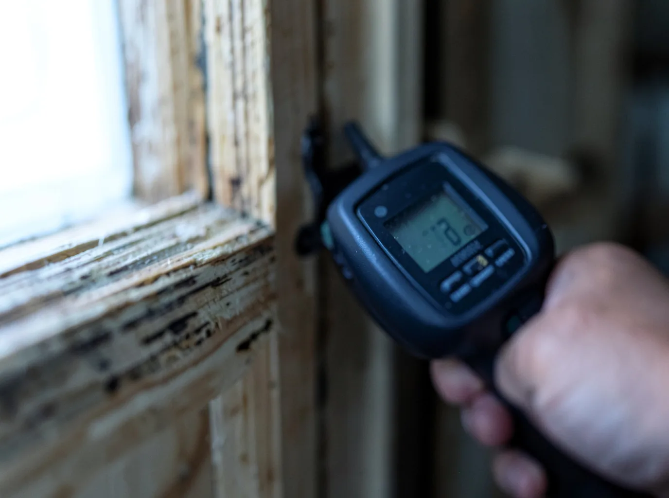 Water Damage Restoration Birdsnest, VA FAQs